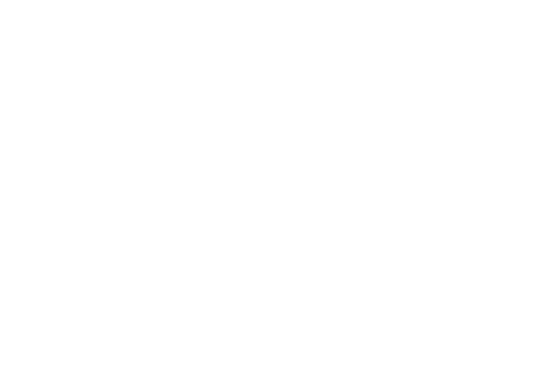 Virgin Pulse Virgin Pulse